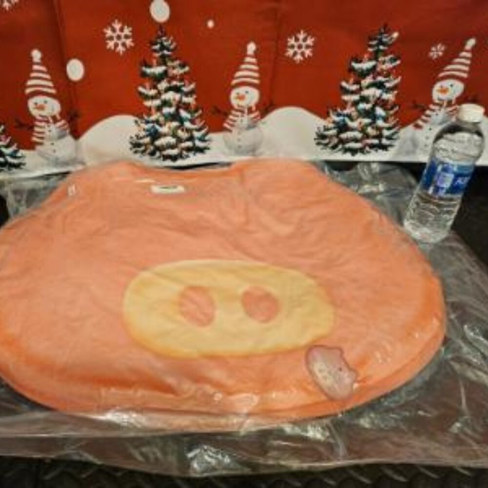 Toreba Exclusive Pig Cushion